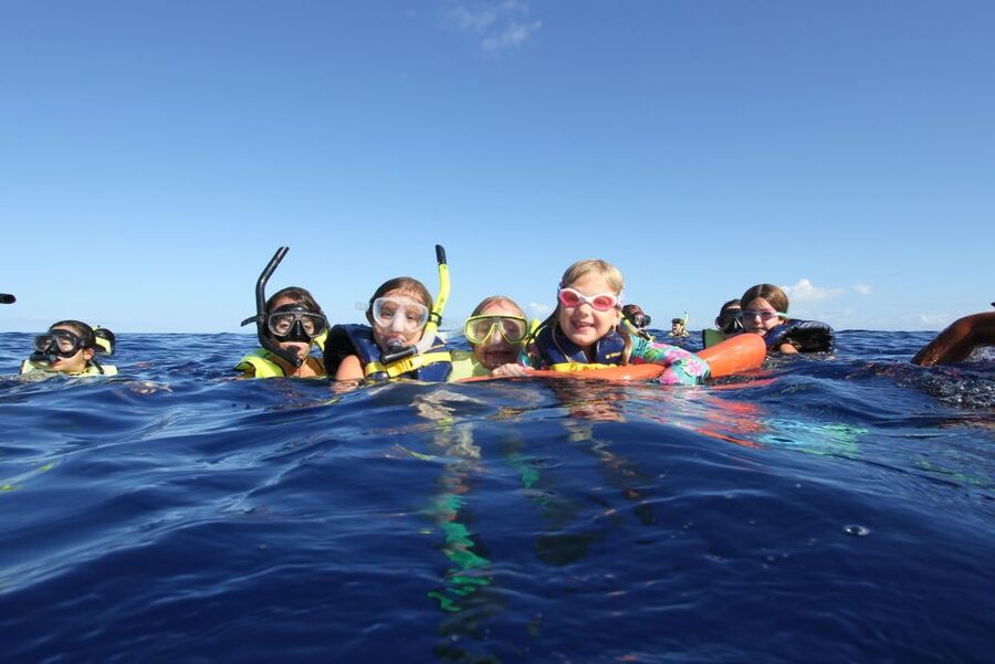 Swim with Wild Dolphins Oahu Speedboat Snorkeling Adventure! - Searching for dolphins in open water