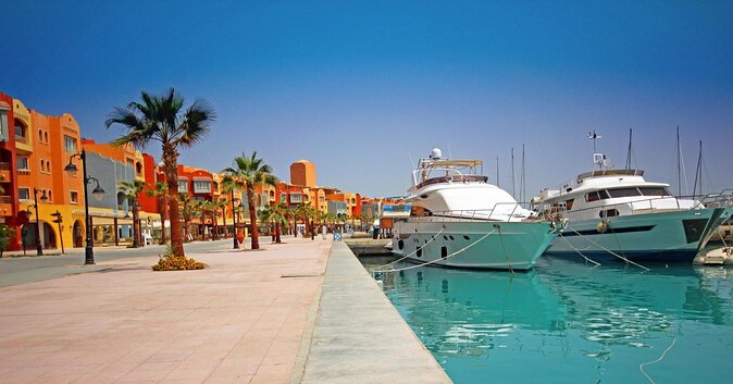 Swimming with Dolphin VIP Snorkeling Sea Trip With Lunch and Transfer - Hurghada - Key points to know before you book