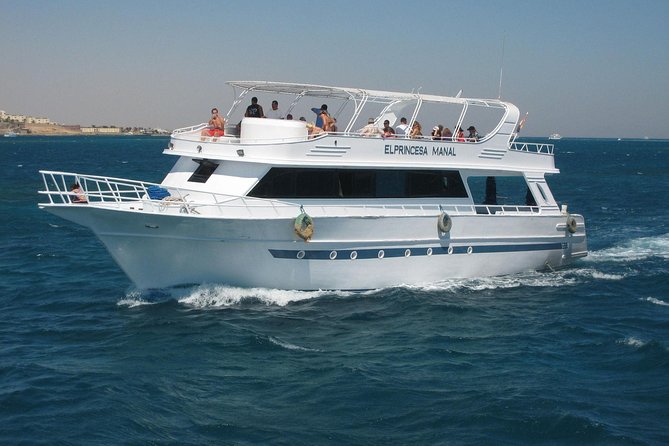 Swimming with Dolphin VIP Snorkeling Sea Trip With Lunch and Transfer - Hurghada - Guided snorkeling at the coral reefs