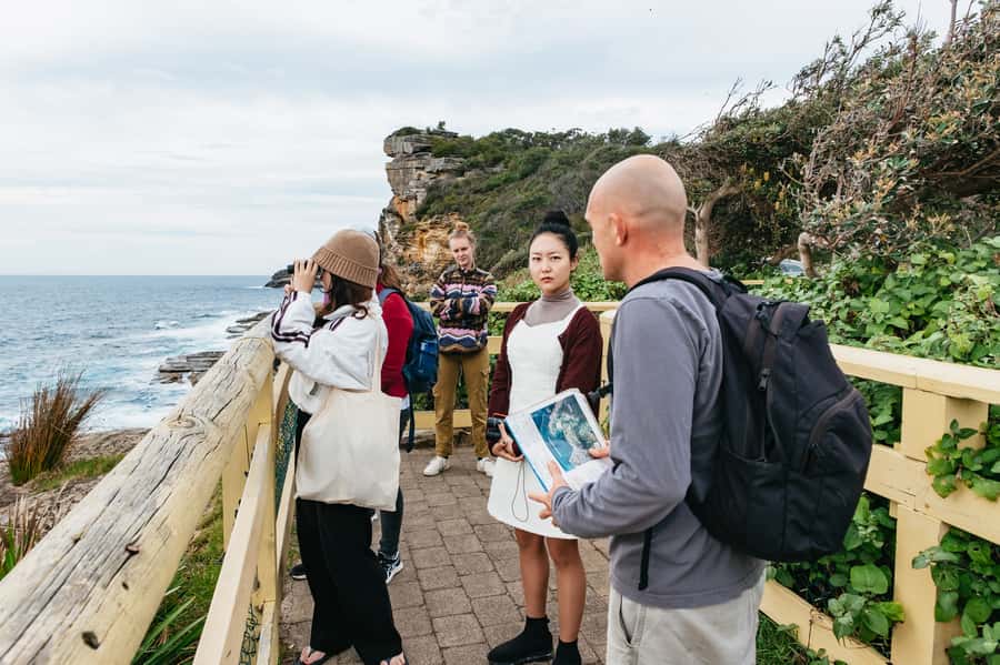 Sydney: Manly and Shelly Beach Snorkeling Tour - Who should book this experience
