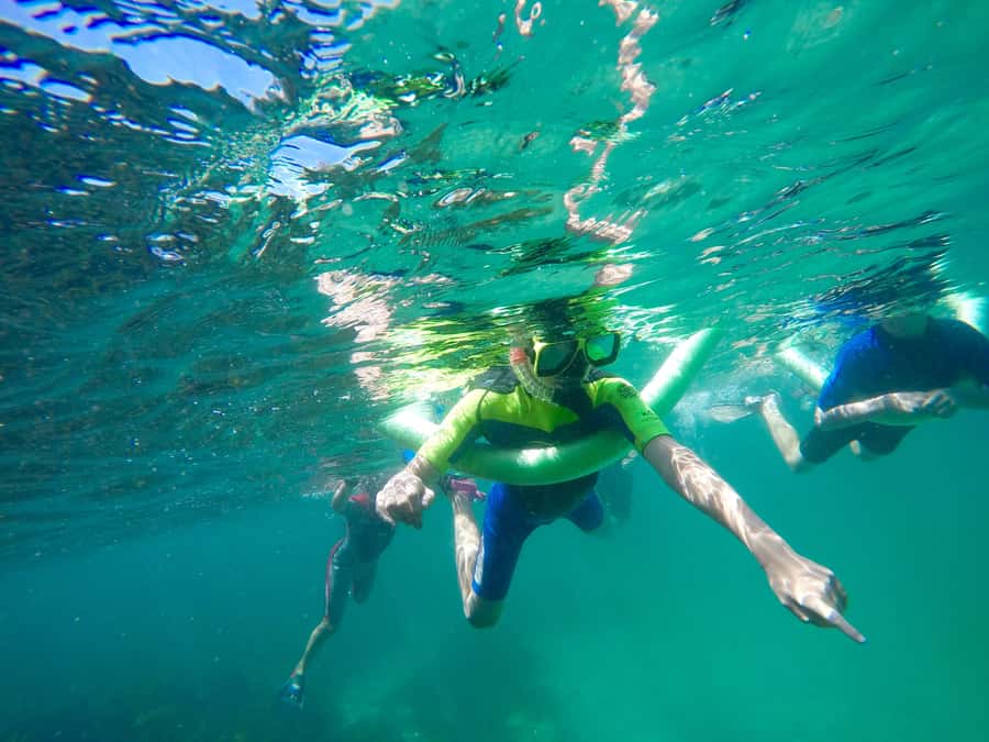 Sydney: Manly and Shelly Beach Snorkeling Tour - The 30-minute headland walk