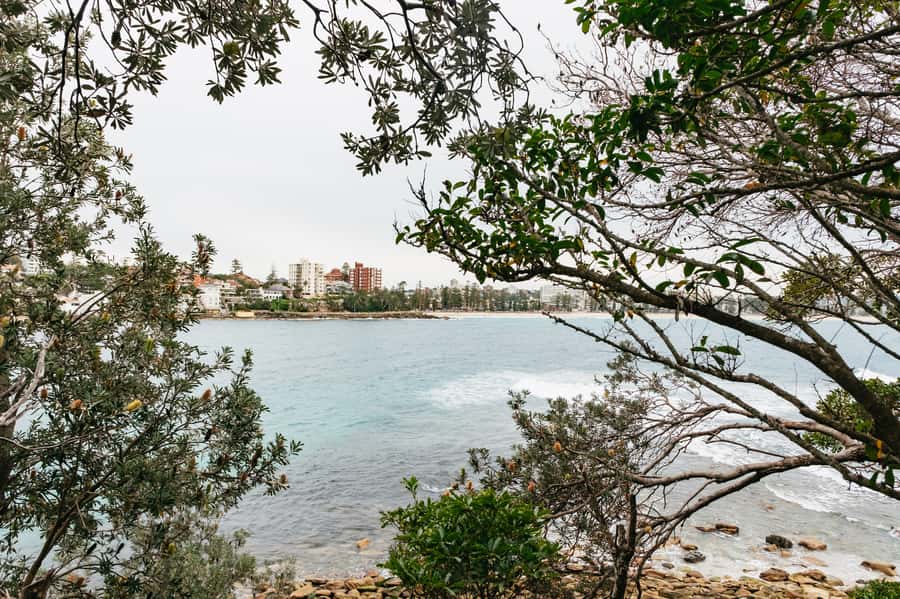 Sydney: Manly and Shelly Beach Snorkeling Tour - What the guides add