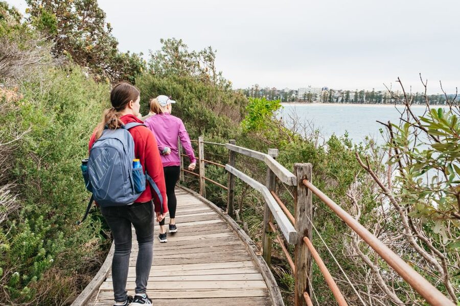 Sydney: Manly and Shelly Beach Snorkeling Tour - The price and what you receive