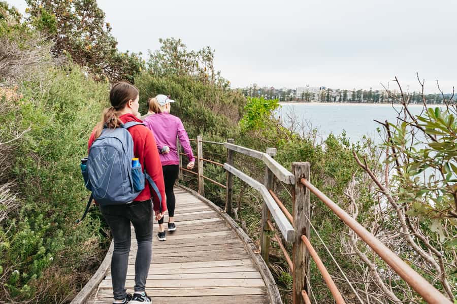 Sydney: Manly and Shelly Beach Snorkeling Tour - Weather, water temperature, and wildlife expectations