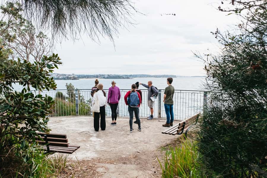 Sydney: Manly and Shelly Beach Snorkeling Tour - Meeting at Shelly Beach