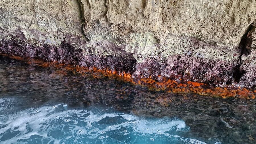 Syracuse:Snorkeling+Pillirina, Ortigia & sea caves boat tour - Choosing the Right Departure Time
