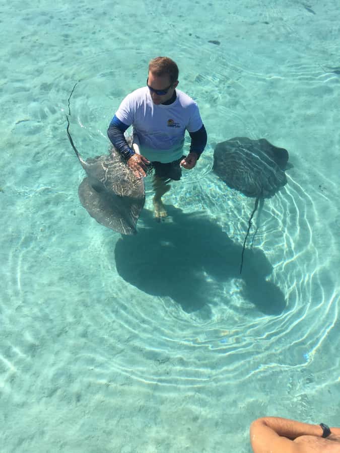 Tahiti island: 4 hours Snorkeling Tour - Key points to know before you book