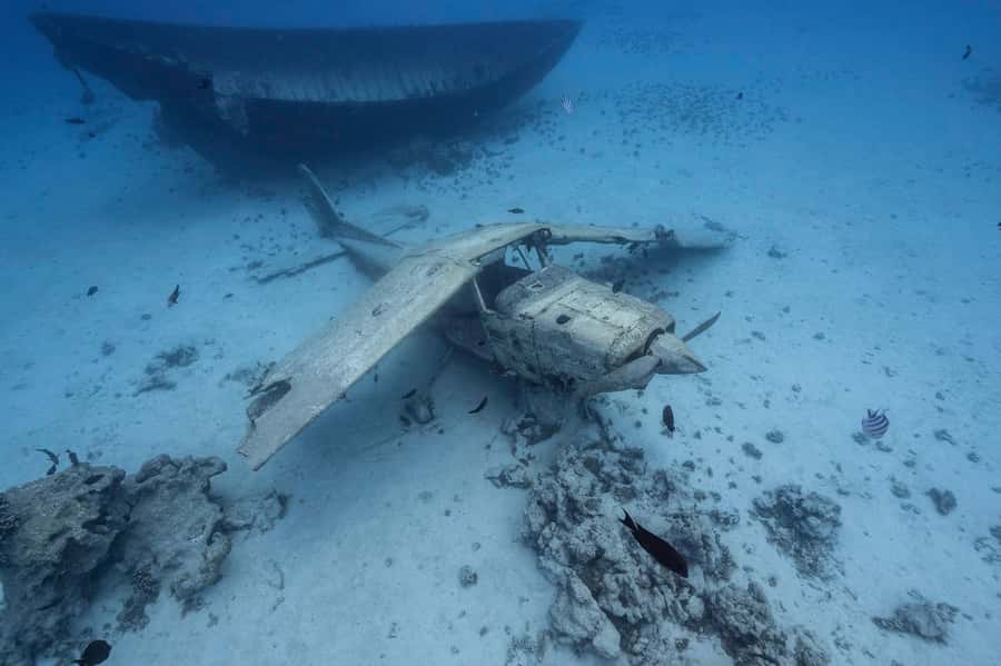 Tahiti island: 4 hours Snorkeling Tour - The Aquarium site and its underwater wrecks