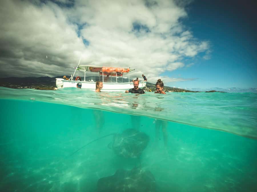 Tahiti island: 4 hours Snorkeling Tour - Pickup, meeting points, and timing details
