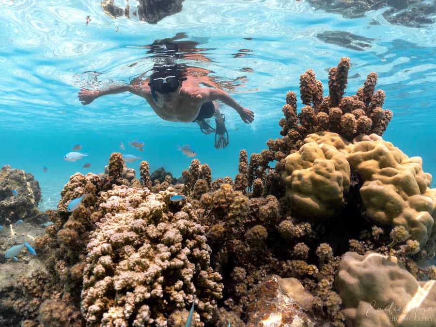 Tahiti island: 5 hours Snorkeling Picnic - A five-hour sampler of Tahiti by boat