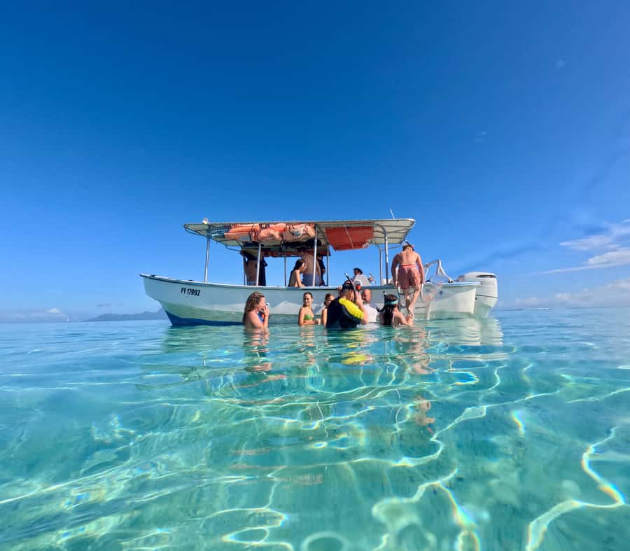 Tahiti island: 5 hours Snorkeling Picnic - The guide and group experience