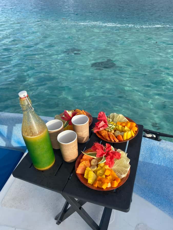 Tahiti island: 5 hours Snorkeling Picnic - Dolphin watching at the start