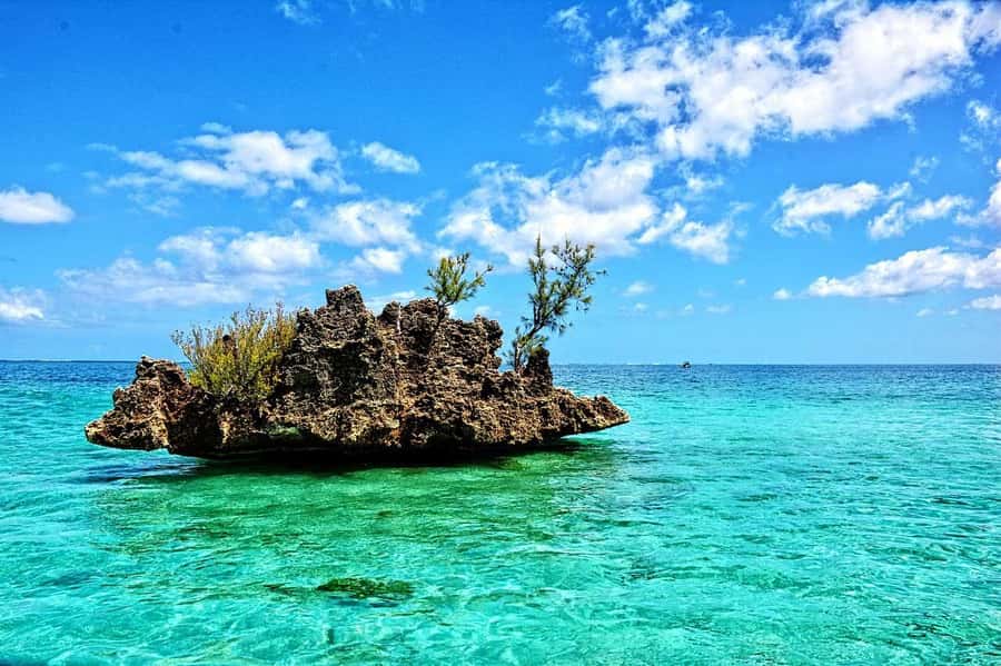 Tamarin: Dolphin Snorkel, CrystalRock, ile o Benitiers Lunch - Crystal Rock adds a scenic pause