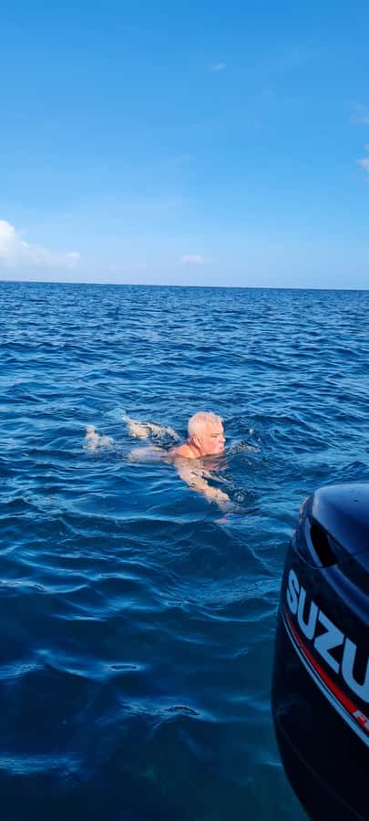 Tamarin: Dolphin Snorkel, CrystalRock, ile o Benitiers Lunch - Ile aux Benitiers means lunch, beach time, and a slower pace