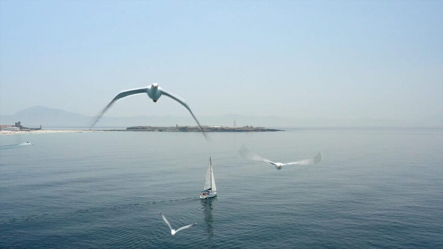 Tarifa: Sailboat Tour, Snorkelling, Tapas & Drinks - Anchoring by Isla de las Palomas for swimming and snorkeling