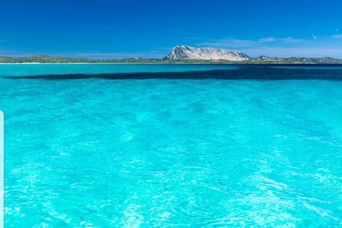 Tavolara Boat Tour and Snorkeling - From Olbia to Capo Cesareo