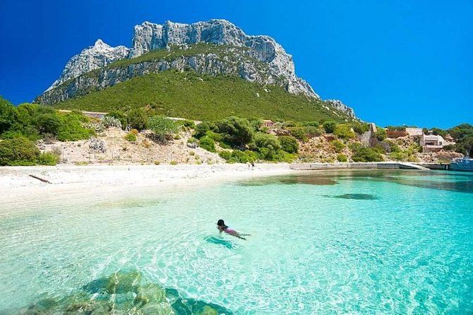 Tavolara Boat Tour and Snorkeling - Porto Istana and the Sardinian aperitif