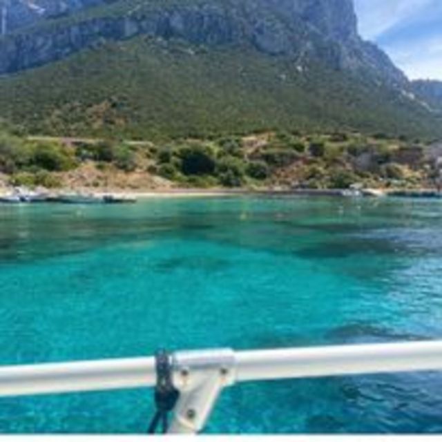Tavolara, Snorkeling in the Marine Park - Key points to know before booking