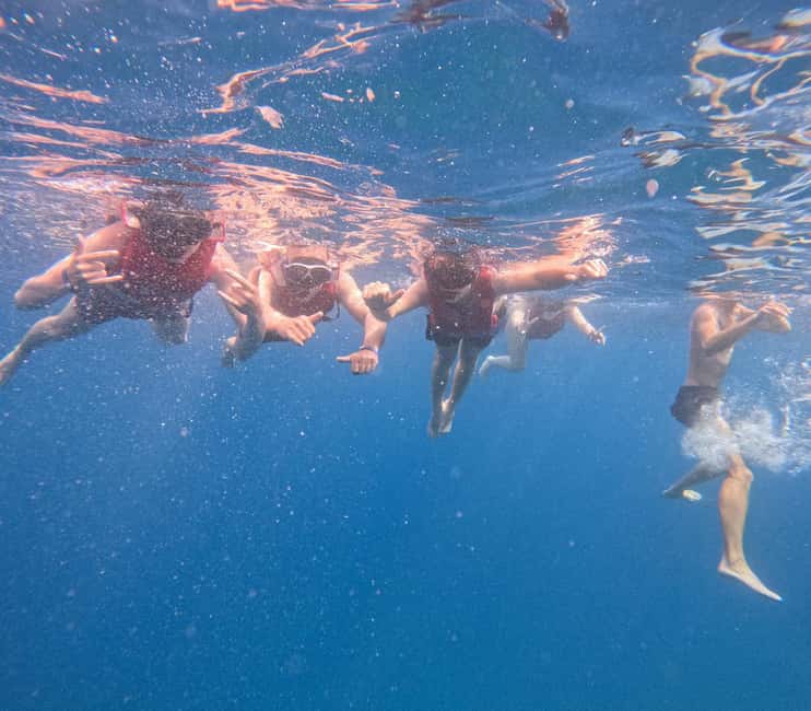 Tenerife: Eco Kayak & Snorkeling - Snorkeling in selected clear-water areas