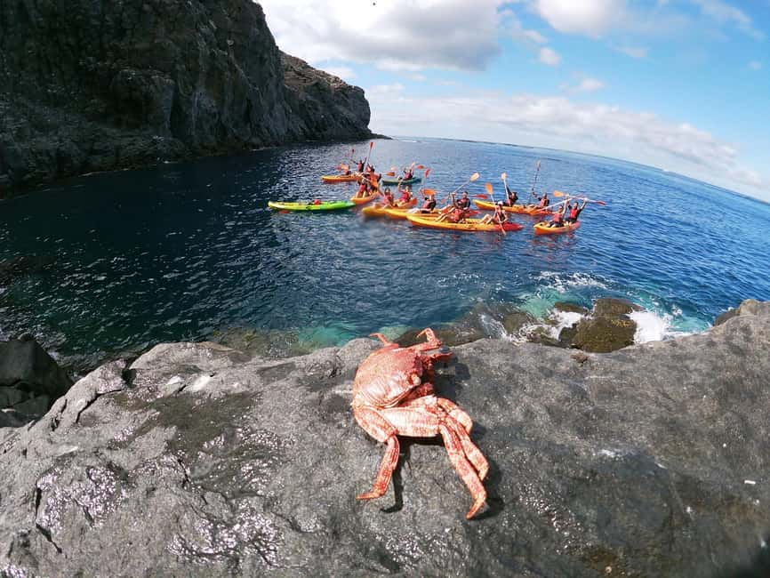 Tenerife: Eco Kayak & Snorkeling - The walking portions and secret stop