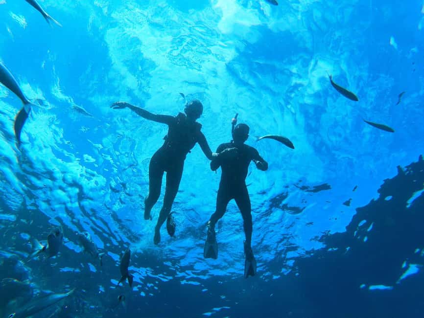 Tenerife: Eco Kayak & Snorkeling - My take on the guides and atmosphere