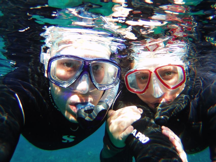 Tenerife Exclusive Snorkeling Trip with Marine Biologist - Is $94 a fair price for three hours?