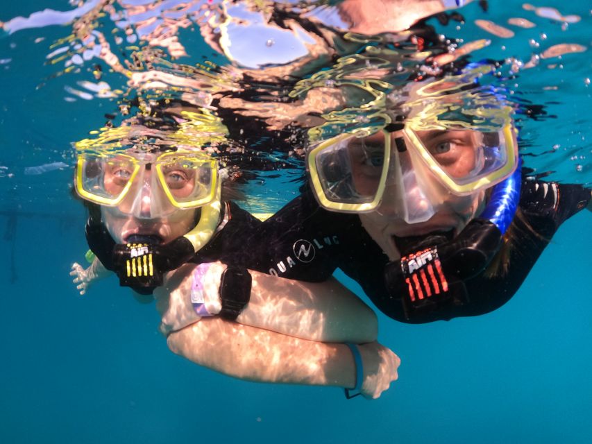 Tenerife: Half-Day Snorkeling Tour - Is $69 a fair price?