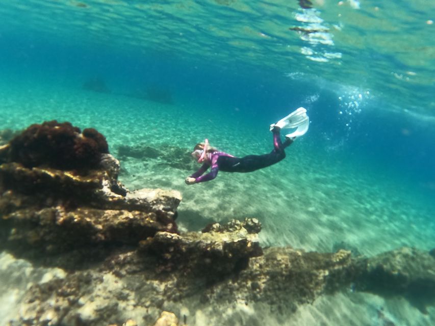 Tenerife: Half-Day Snorkeling Tour - What the four-hour schedule really includes