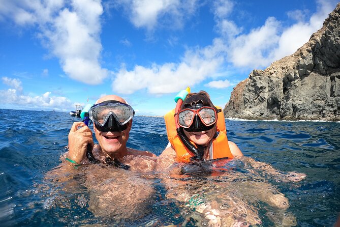 Tenerife: Kayak and snorkel with marine life safari - Starting in Los Cristianos with a proper briefing