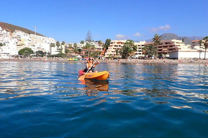 Tenerife: Kayak and snorkel with marine life safari - The snorkeling stop and what to expect underwater