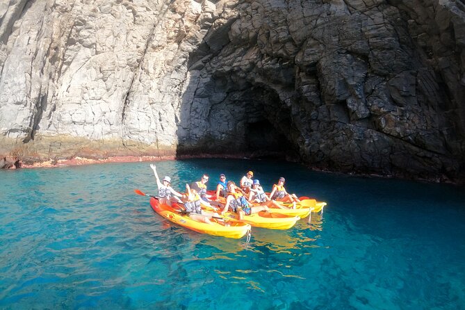 Tenerife: Kayak and snorkel with marine life safari - Snacks, drinks, and the practical details
