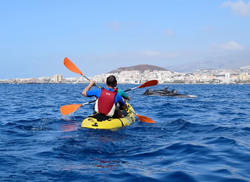 Tenerife: Kayak and Snorkel with Turtles, Wetsuits Included - Final verdict: book it for the sea time, not only the turtles