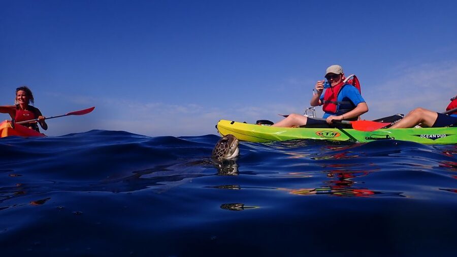 Tenerife: Kayak and Snorkel with Turtles, Wetsuits Included - Cueva de Los Enamorados and the return route