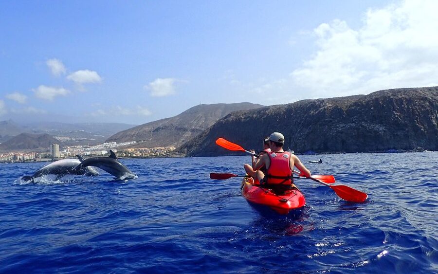 Tenerife: Kayak and Snorkel with Turtles, Wetsuits Included - What the guides add to the experience
