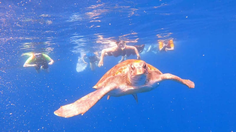 Tenerife: Kayak and Snorkeling Tour with Photos - Paddling out from Los Cristianos
