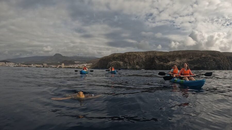Tenerife: Kayak and Snorkeling Tour with Photos - Timing, cancellation, and practical value