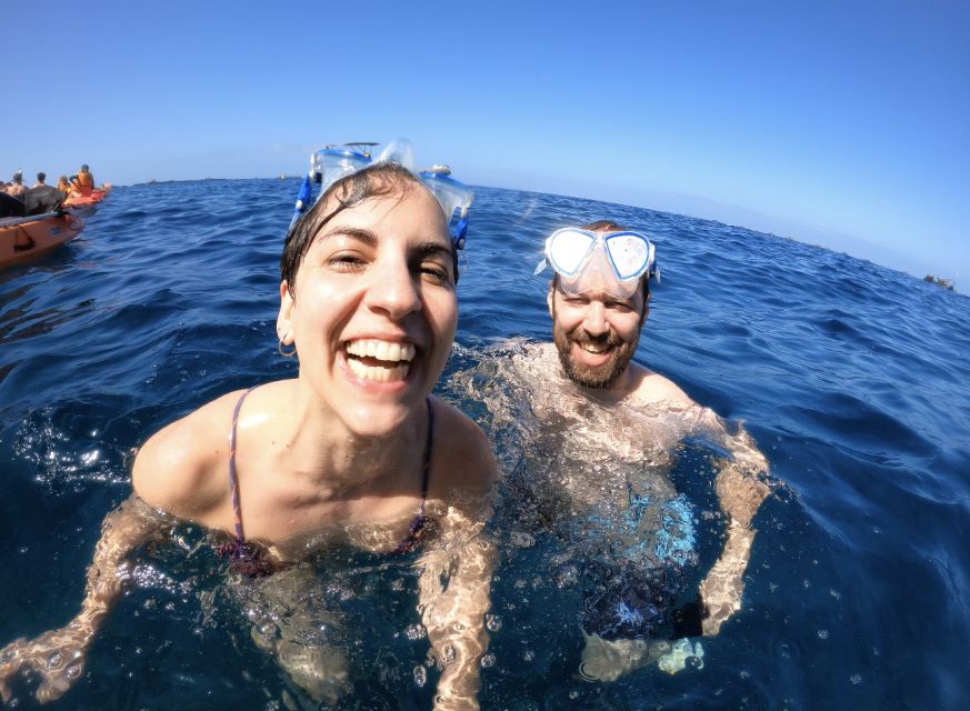 Tenerife: Kayak Safari and Snorkel in a Marine Reserve - Dolphin watching without a motorboat crowd