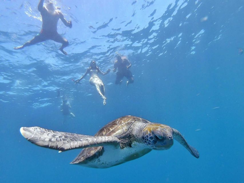 Tenerife: Kayak Safari and Snorkel in a Marine Reserve - The return paddle and total time