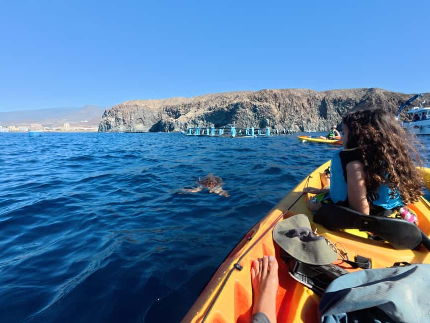 Tenerife: Kayak Sea Safari with Snorkel and Snacks - Should You Book the Mana Kayak Sea Safari?