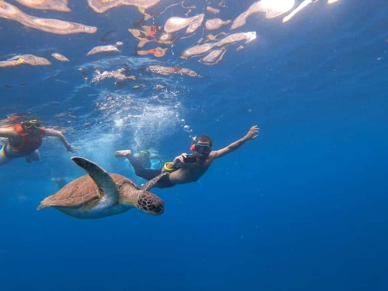 Tenerife: Kayak Sea Safari with Snorkel and Snacks - The First Hour: Paddling Along Los Cristianos