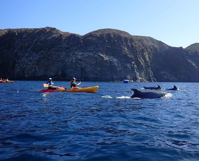 Tenerife: Kayak Sea Safari with Snorkel and Snacks - Lovers Cave and the Cliffside Views