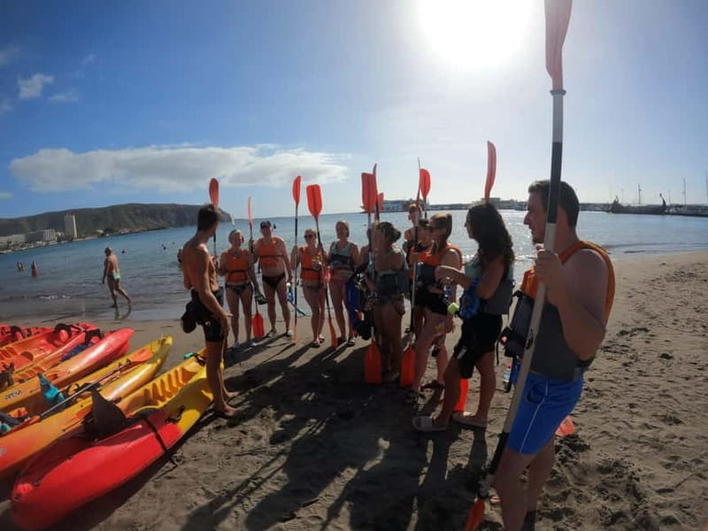 Tenerife: Kayak Sea Safari with Snorkel and Snacks - Who Should Book This Kayak Tour