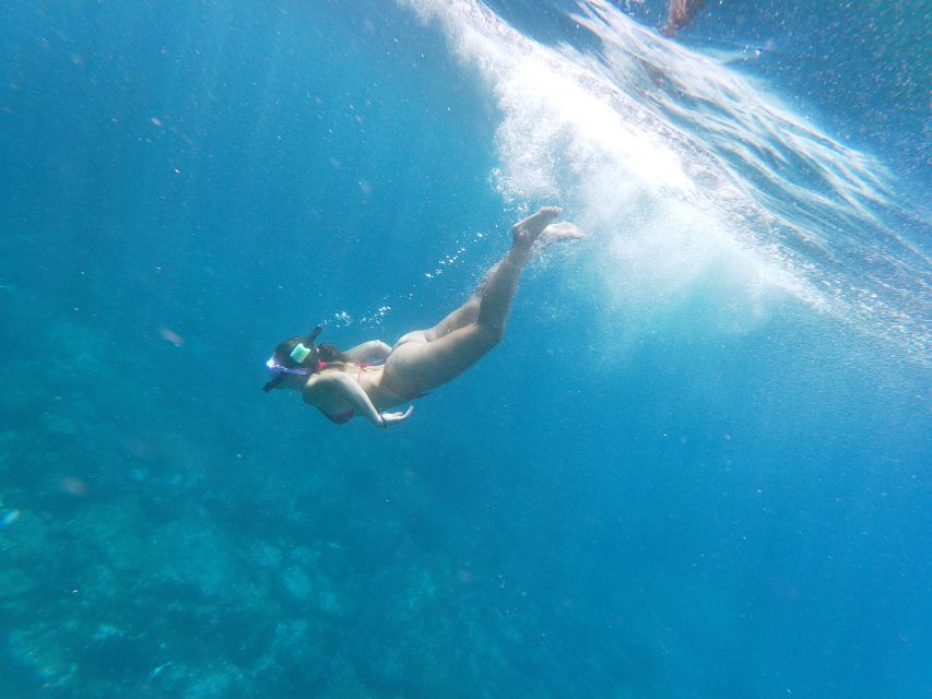 Tenerife: Kayak & Snorkel with Local Fauna, Photos Included - Snorkeling for about 20 minutes