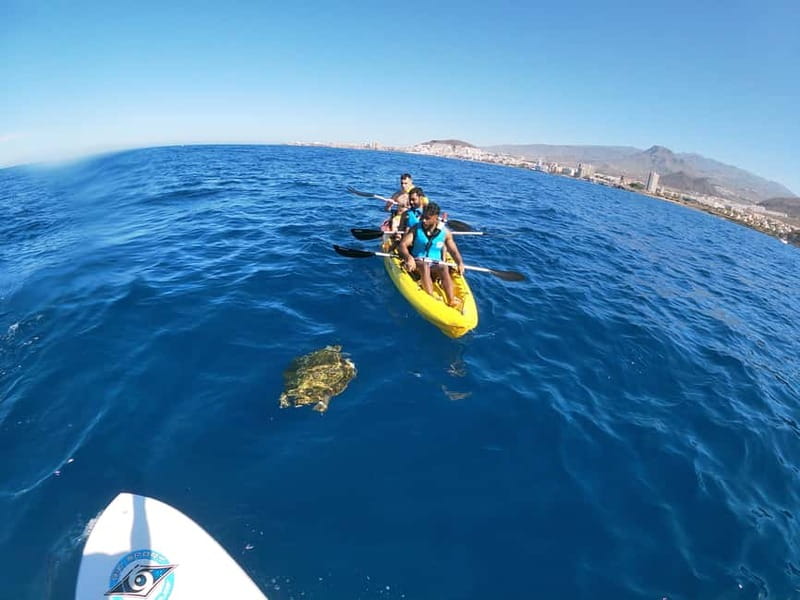 Tenerife: Kayak & Snorkel with Local Fauna, Photos Included - Photos, showers, and the practical finish
