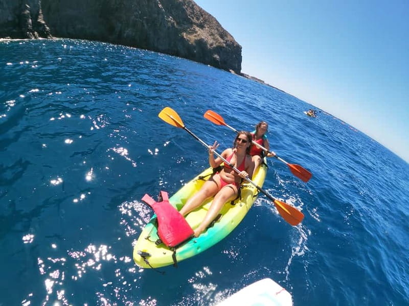 Tenerife: Kayak & Snorkel with Local Fauna, Photos Included - How the $36 price compares