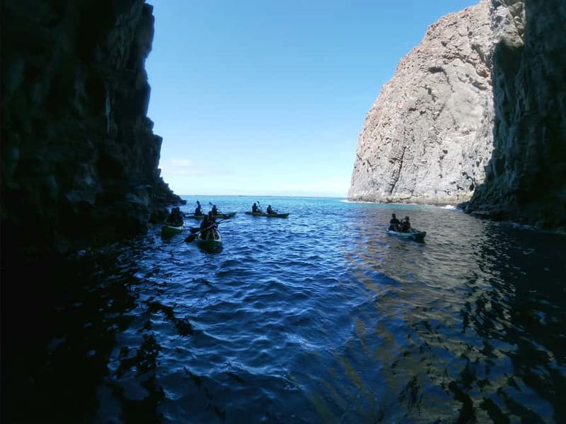 Tenerife: Kayak & Snorkel with Local Fauna, Photos Included - A 20-minute briefing before you paddle