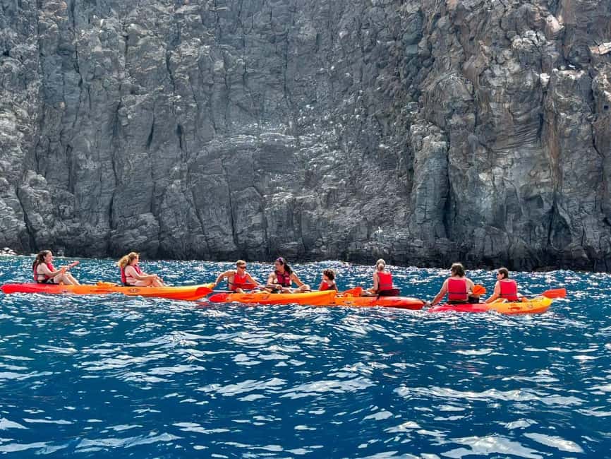 Tenerife: Kayak & Snorkeling, Marine Fauna Watching - What the $53 price really covers