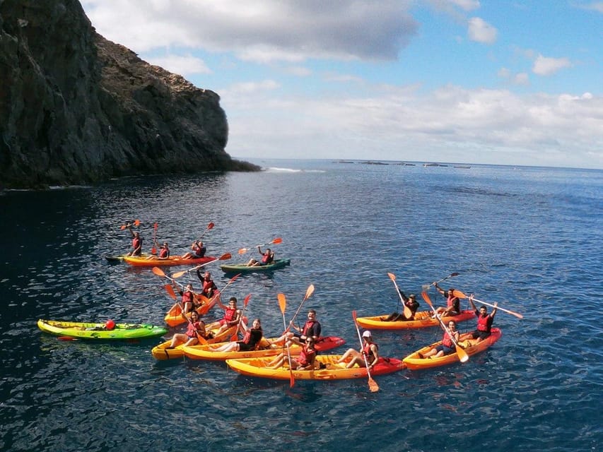 Tenerife: Kayak & Snorkeling, Marine Fauna Watching - A second paddle and another viewing stop