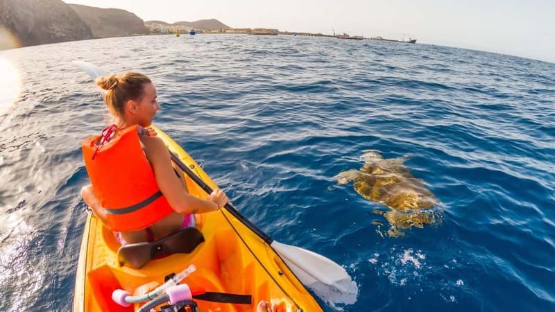 Tenerife: Kayak & Snorkeling Tour - Small Groups - Is the $37 price good value?