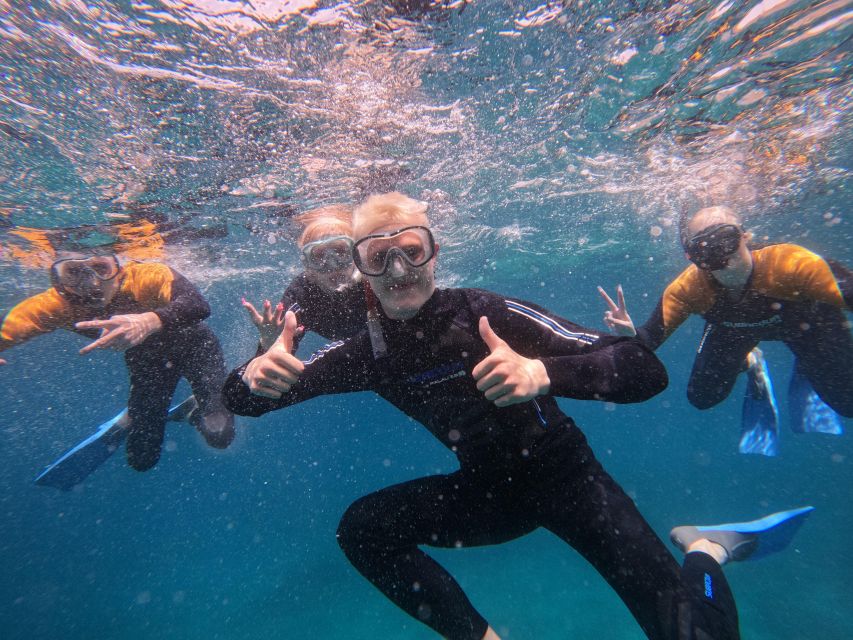 Tenerife: Puerto Colon Snorkel Safari by Speed Boat - A fast start from Puerto Colón
